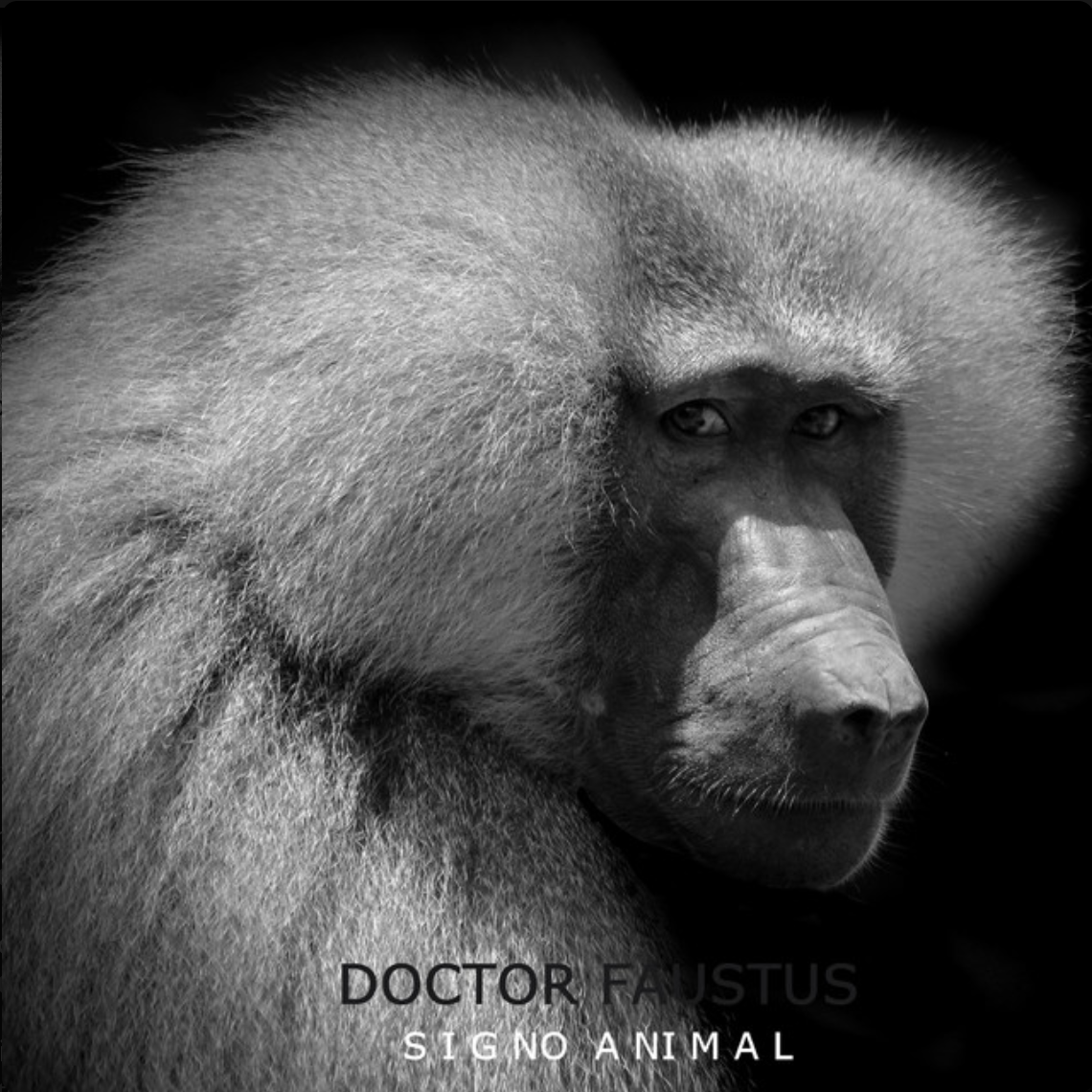 Carátula del álbum Signo Animal