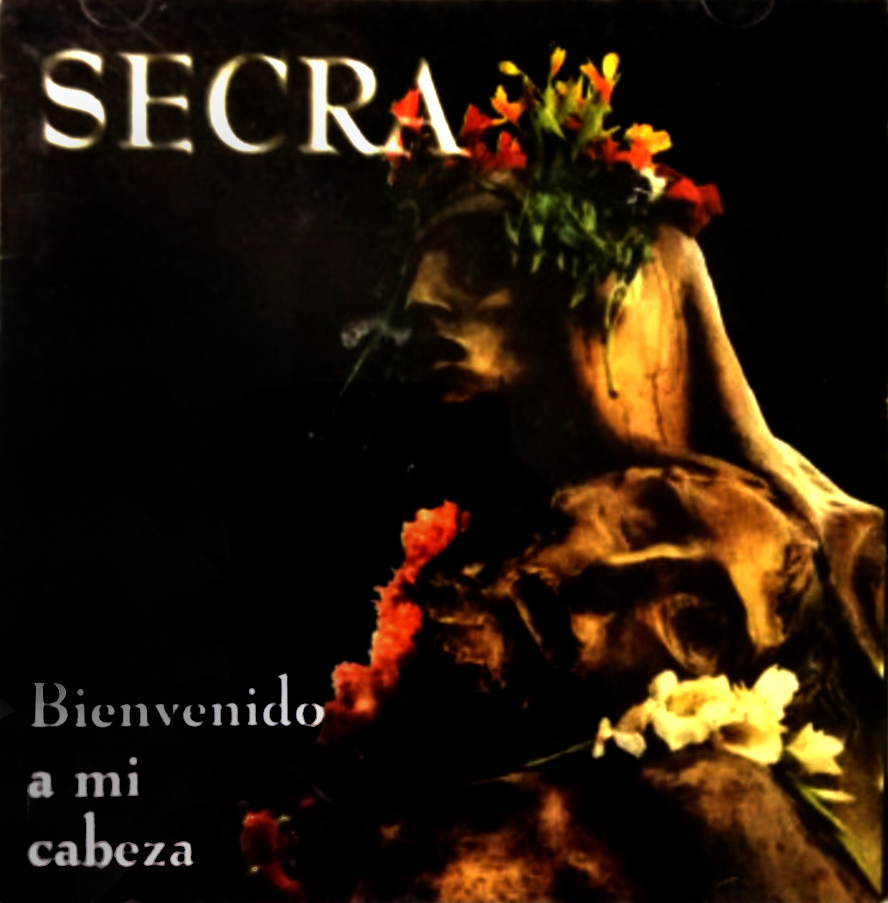 Carátula del álbum Bienvenido a mi cabeza